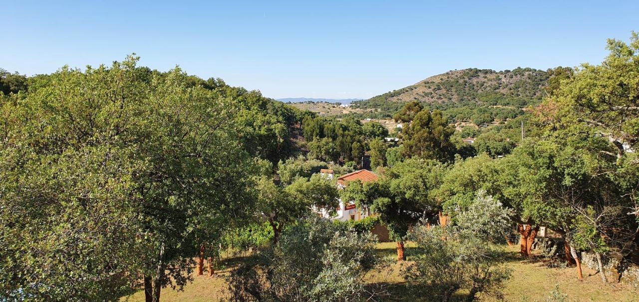Casa Do Passaro Villa Galegos  Bagian luar foto